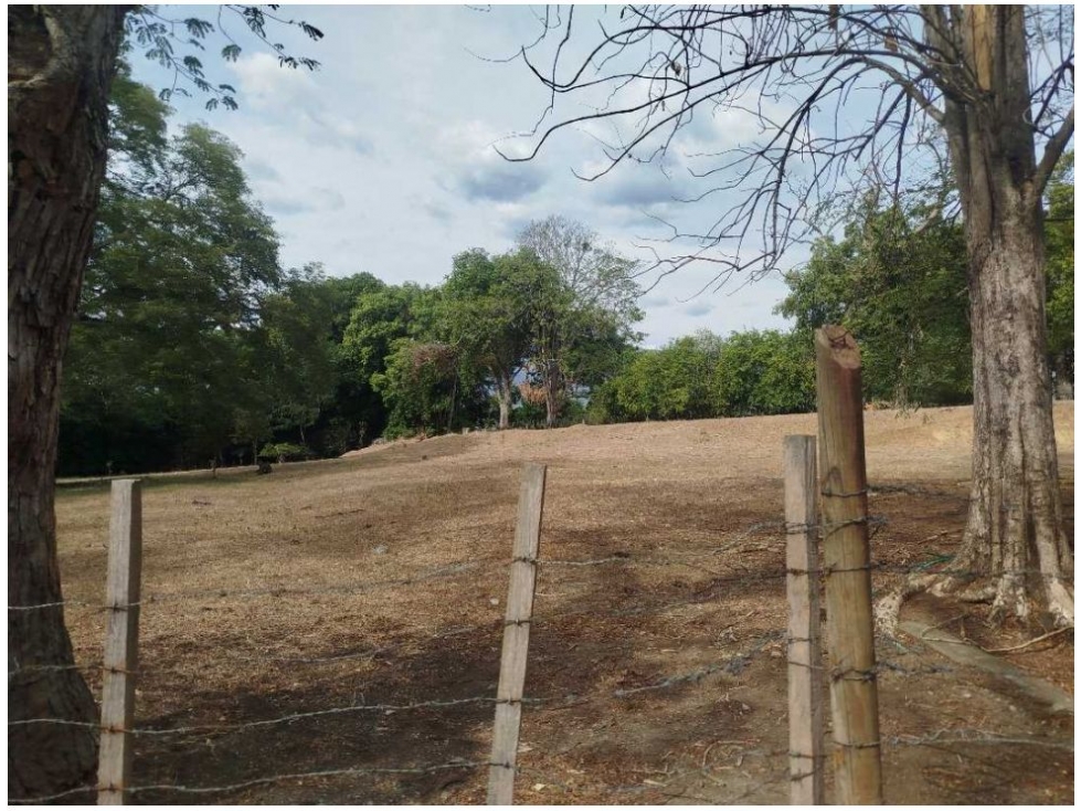 Land in Paso real for Sale