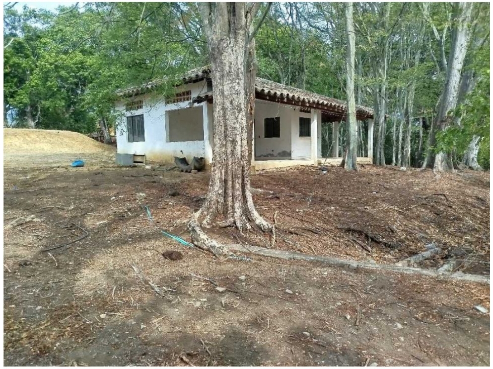 Land in Paso real for Sale - 2