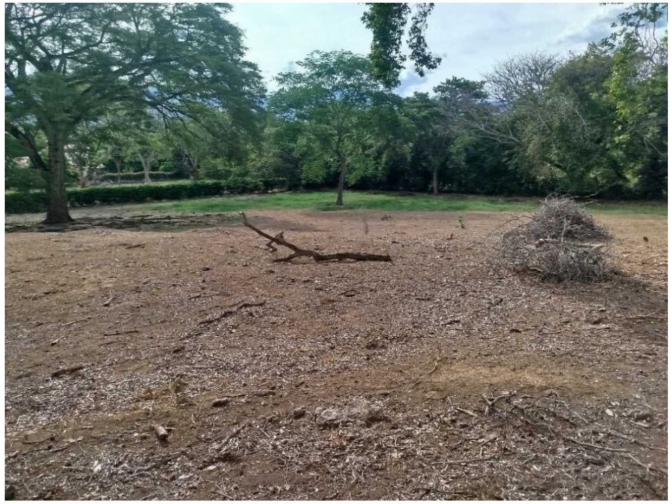 Land in Paso real for Sale - 3