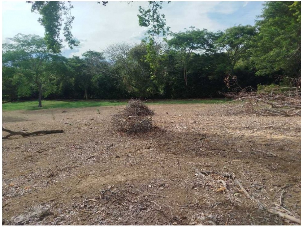 Land in Paso real for Sale - 4