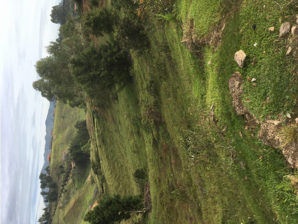 Bild 2 för fastigheten som annonseras i Rionegro