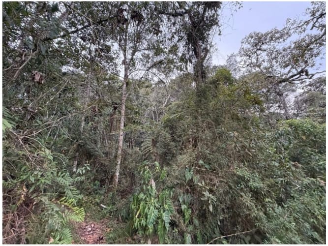 Lote en venta en El Carmen, El Retiro, 1376 m² · foto 4 de 4