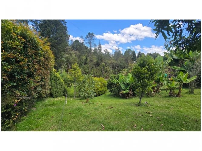 Finca en venta en Guarne, 300 m² · foto 11 de 13