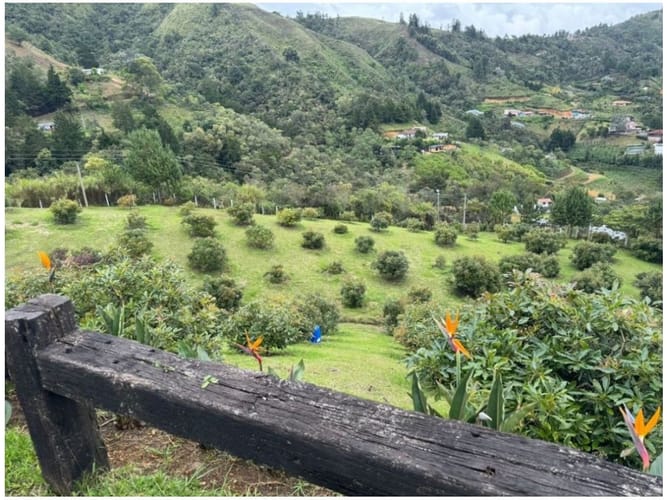 Finca en venta en La Clara, Guarne, 120 m² · foto 5 de 17