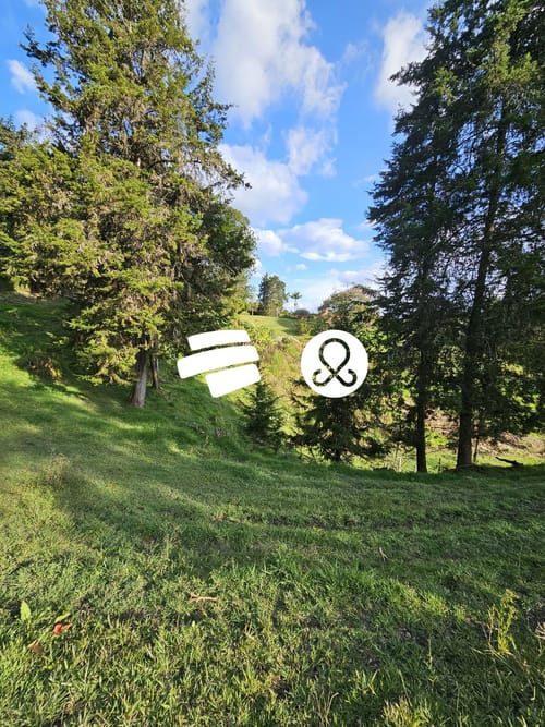 Finca en venta en El Tablazo, Rionegro, 55763 m² · foto 5 de 11