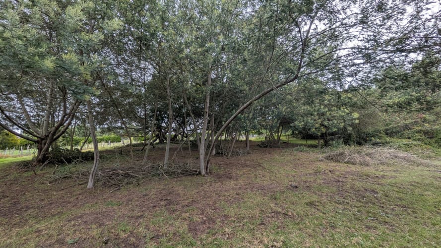 Lote en venta en Yerbabuena, Chía · foto 6 de 7