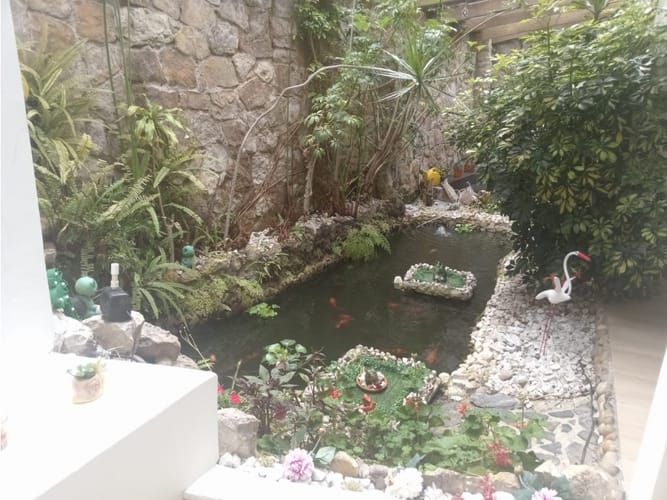 Casa en venta en Bosque De Pinos, Bogotá · foto 2 de 24