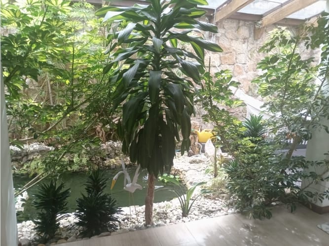 Casa en venta en Bosque De Pinos, Bogotá · foto 21 de 24