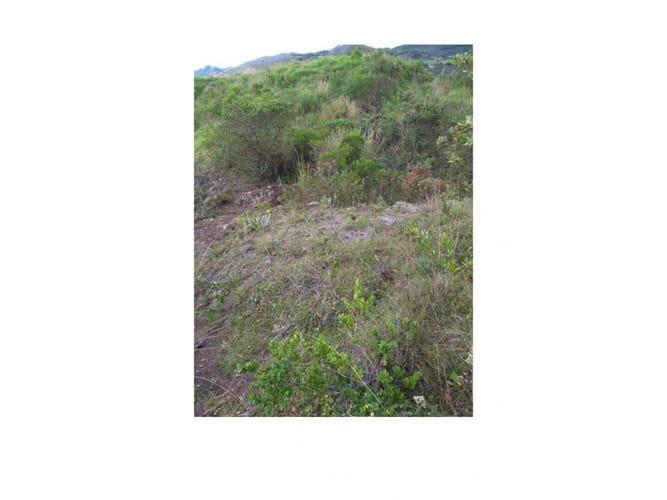 Lote en venta en Centro Tocancipá, Tocancipá, 1199 m² · foto 6 de 9
