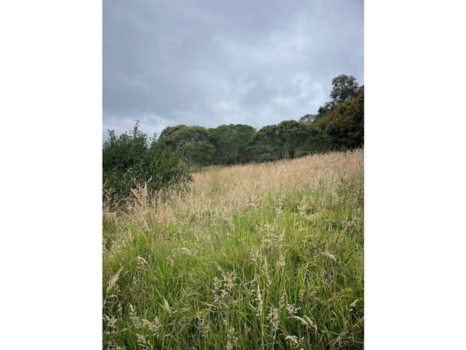 Lote en venta en Yerbabonita Bosque Nativo, Sopó, 1962 m² · foto 11 de 15