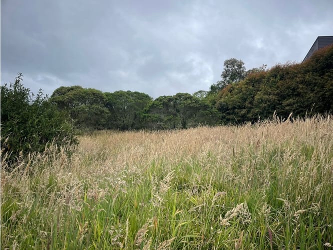 Lote en venta en Yerbabonita Bosque Nativo, Sopó, 1962 m² · foto 15 de 15