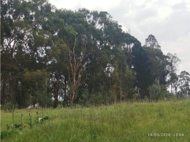 Finca en venta en Centro, Sopó, 51200 m² · foto 4 de 11
