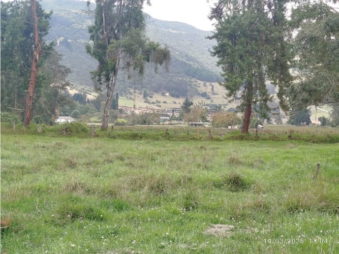 Finca en venta en Centro, Sopó, 51200 m² · foto 6 de 11