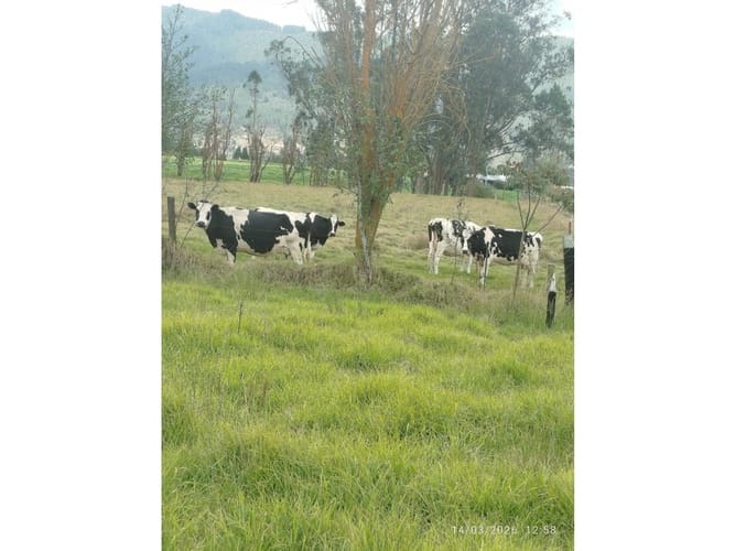 Finca en venta en Centro, Sopó, 51200 m² · foto 10 de 11