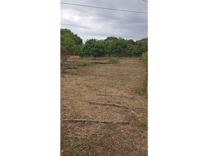 Lote en venta en Martinica Parte Alta, Ibagué, 2800 m² · foto 2 de 6
