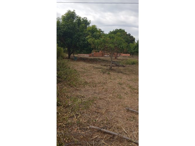 Lote en venta en Martinica Parte Alta, Ibagué, 2800 m² · foto 4 de 6