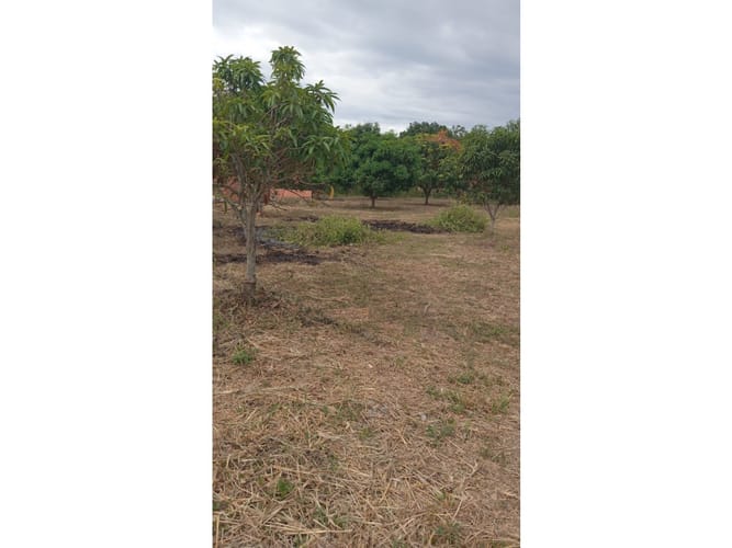 Lote en venta en Martinica Parte Alta, Ibagué, 2800 m² · foto 5 de 6