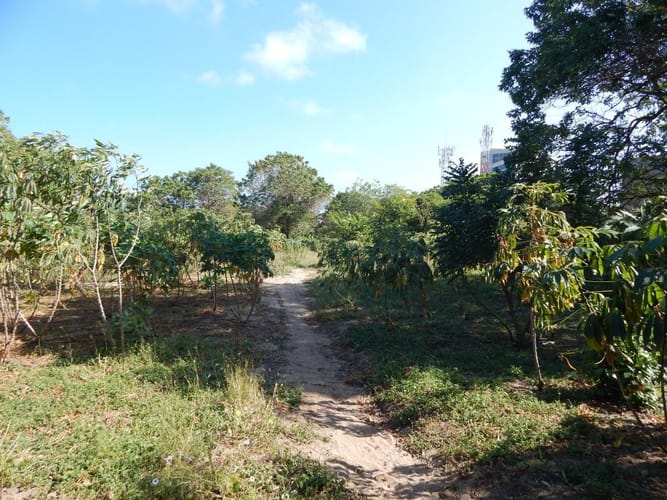 Lote en venta en Puerto Colombia, Barranquilla, 26 m² · foto 8 de 13