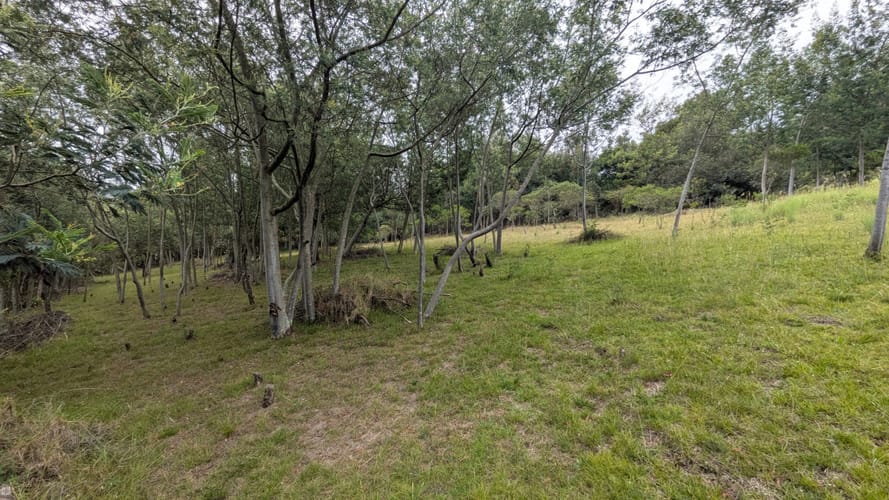 Lote en venta en Yerbabuena, Chía, 16119 m² · foto 6 de 14