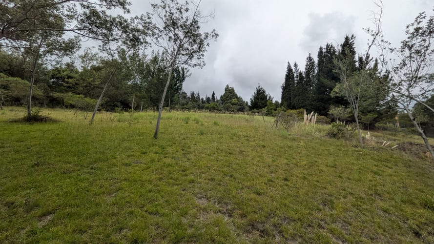Lote en venta en Yerbabuena, Chía, 16119 m² · foto 7 de 14