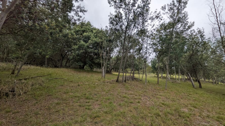Lote en venta en Yerbabuena, Chía, 16119 m² · foto 8 de 14