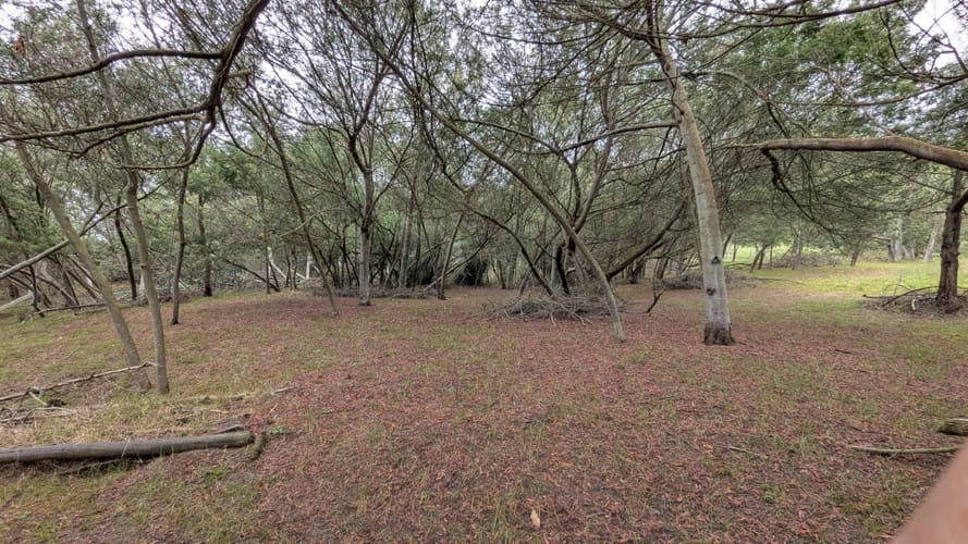 Lote en venta en Yerbabuena, Chía, 16119 m² · foto 9 de 14