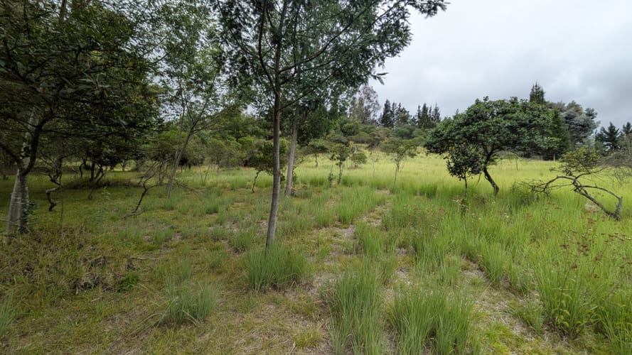 Lote en venta en Yerbabuena, Chía, 16119 m² · foto 14 de 14