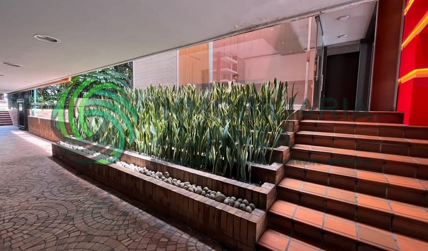 Local en arriendo en Cabecera Del Llano, Bucaramanga, 24 m² · foto 12 de 13
