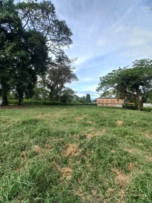 Lote en arriendo en El Totumo, Ibagué, 2843 m² · foto 3 de 24