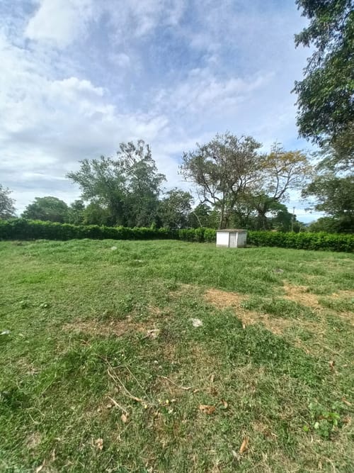 Lote en arriendo en El Totumo, Ibagué, 2843 m² · foto 6 de 24