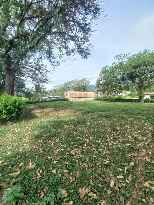 Lote en arriendo en El Totumo, Ibagué, 2843 m² · foto 7 de 24