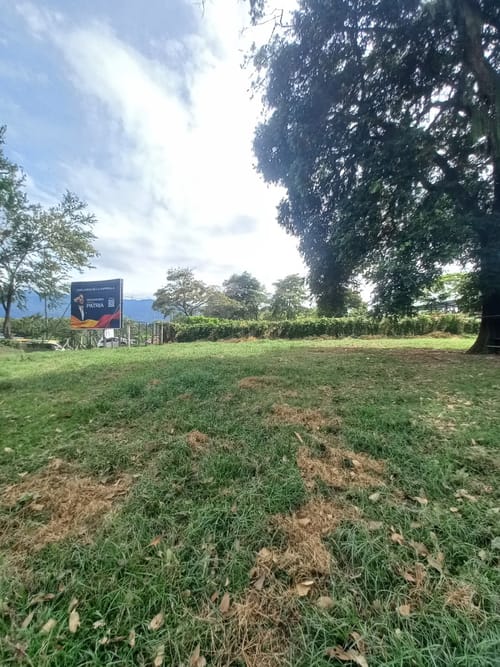 Lote en arriendo en El Totumo, Ibagué, 2843 m² · foto 11 de 24