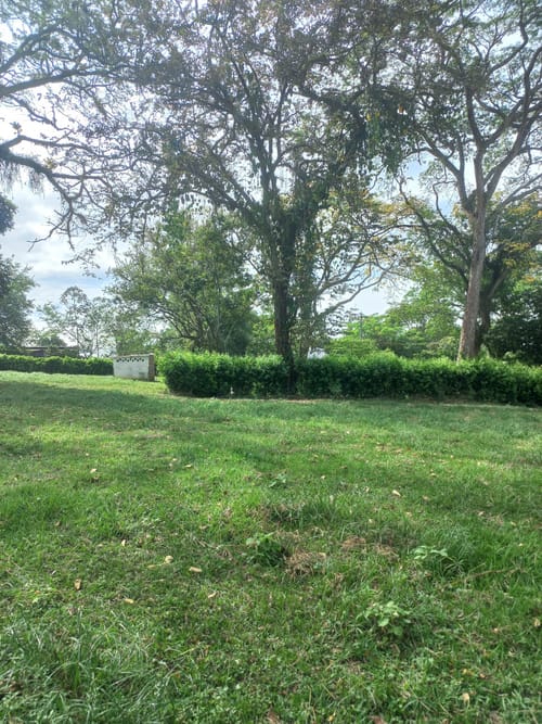 Lote en arriendo en El Totumo, Ibagué, 2843 m² · foto 12 de 24
