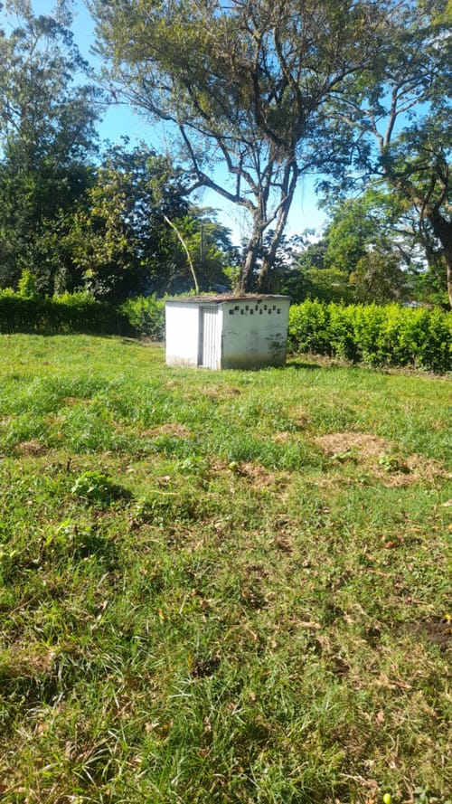 Lote en arriendo en El Totumo, Ibagué, 2843 m² · foto 14 de 24