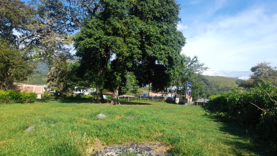 Lote en arriendo en El Totumo, Ibagué, 2843 m² · foto 16 de 24