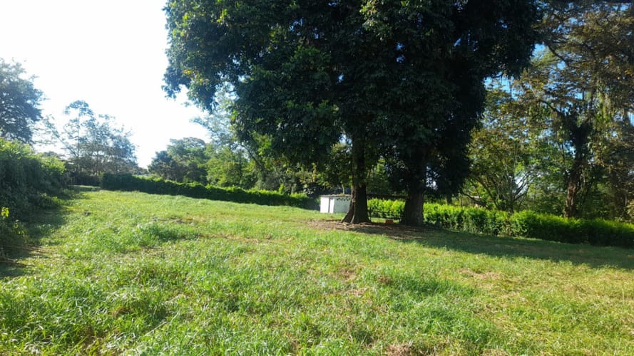 Lote en arriendo en El Totumo, Ibagué, 2843 m² · foto 18 de 24