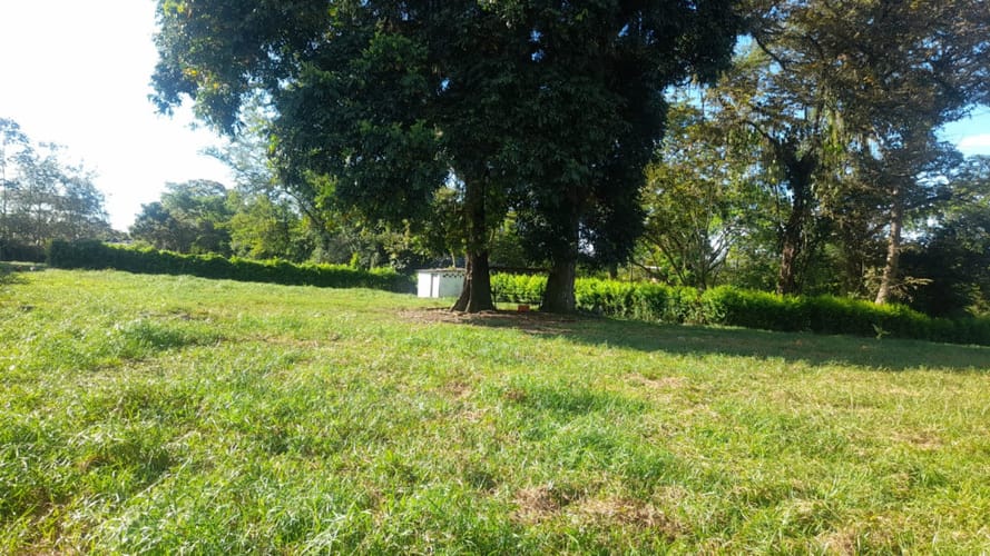 Lote en arriendo en El Totumo, Ibagué, 2843 m² · foto 19 de 24