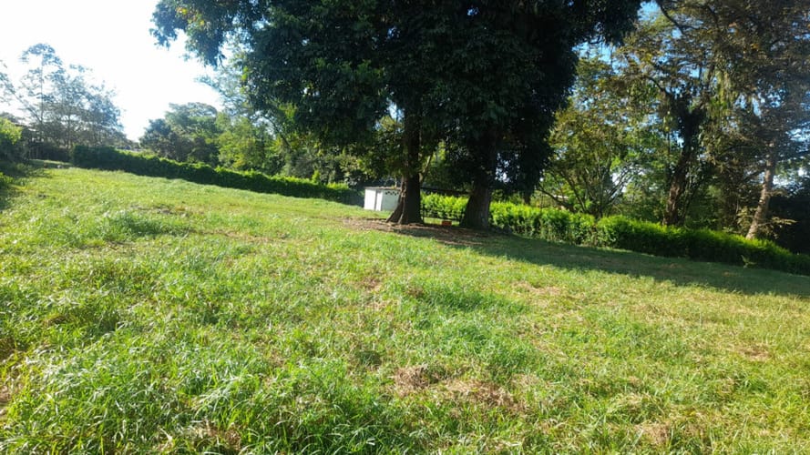 Lote en arriendo en El Totumo, Ibagué, 2843 m² · foto 20 de 24