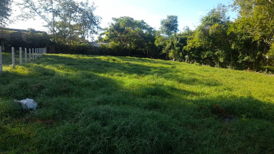 Lote en arriendo en El Totumo, Ibagué, 2843 m² · foto 23 de 24