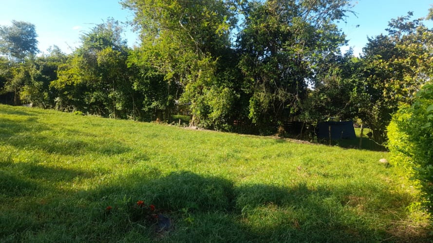 Lote en arriendo en El Totumo, Ibagué, 2843 m² · foto 24 de 24