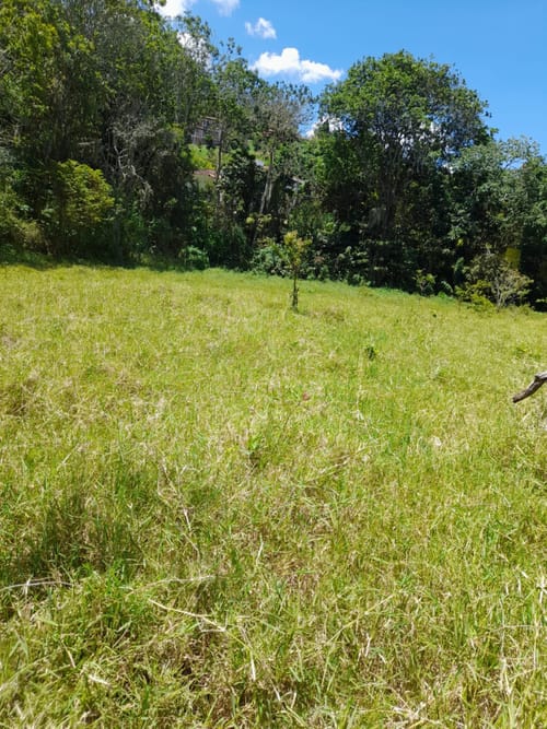 Lote en venta en Pedrera Mirador Azul, Copacabana, 6 m² · foto 6 de 6