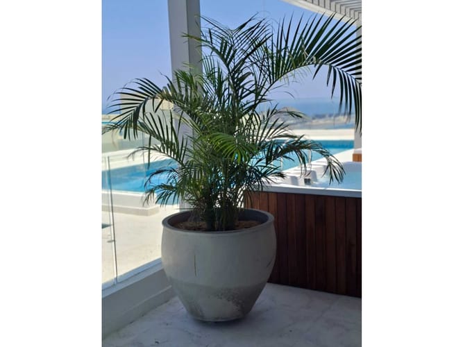 Apartamento de 1 alcoba en venta en Corea, Santa Marta, 43 m² · foto 22 de 24