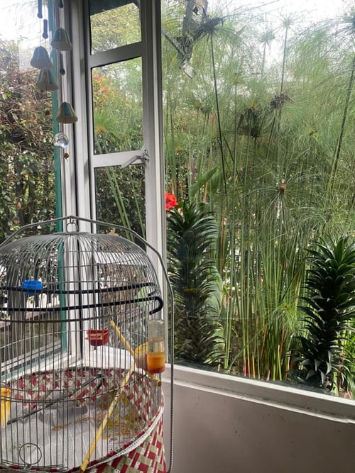Casa en venta en Iberia, Bogotá · foto 17 de 23
