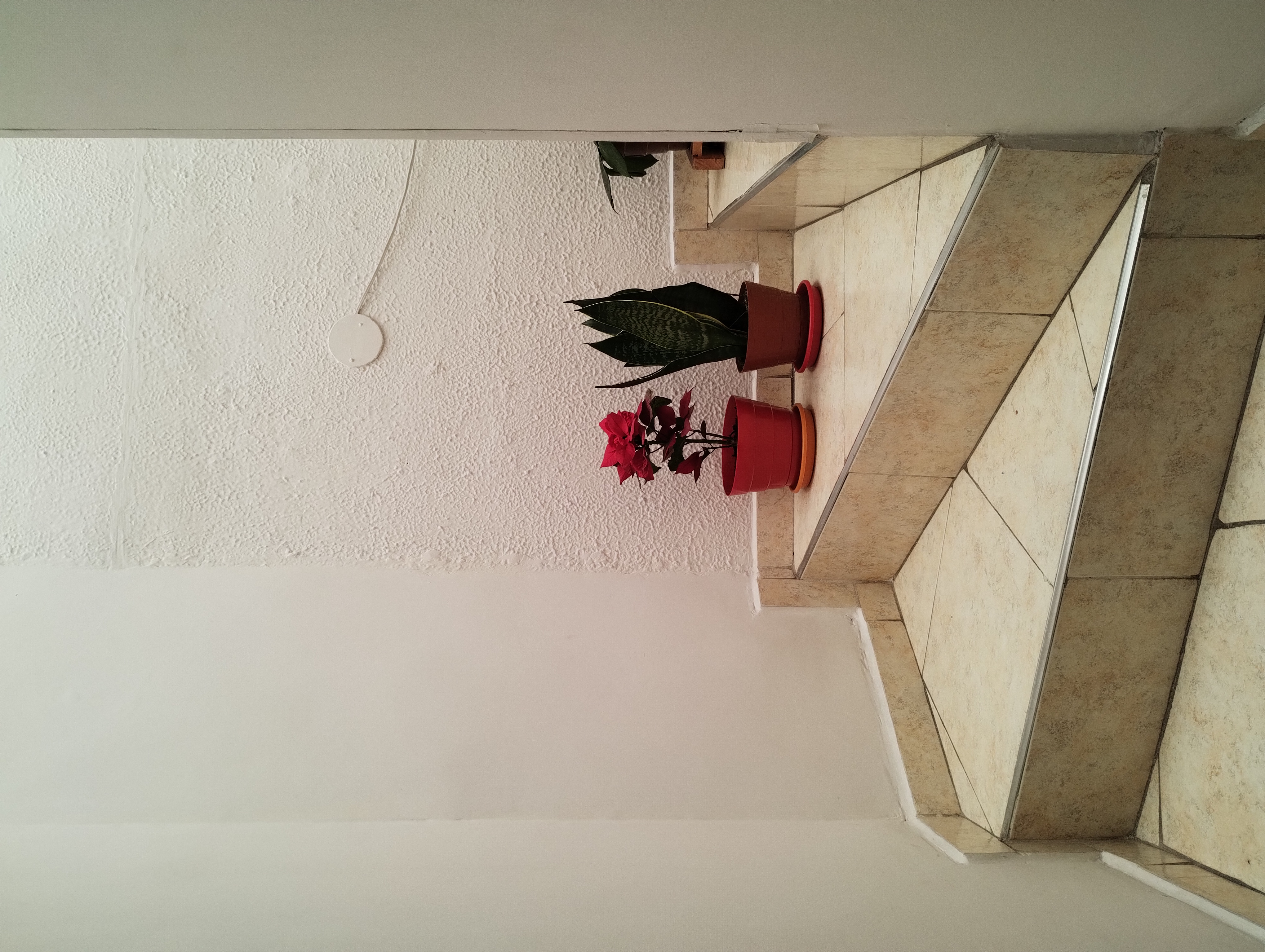 Casa en venta en El Pinar, Bogotá · foto 13 de 19