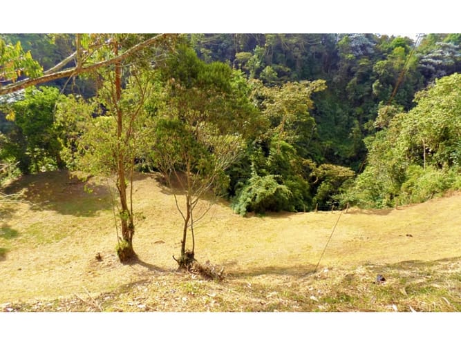 Lote en venta en El Trebol, Manizales, 16200 m² · foto 2 de 4