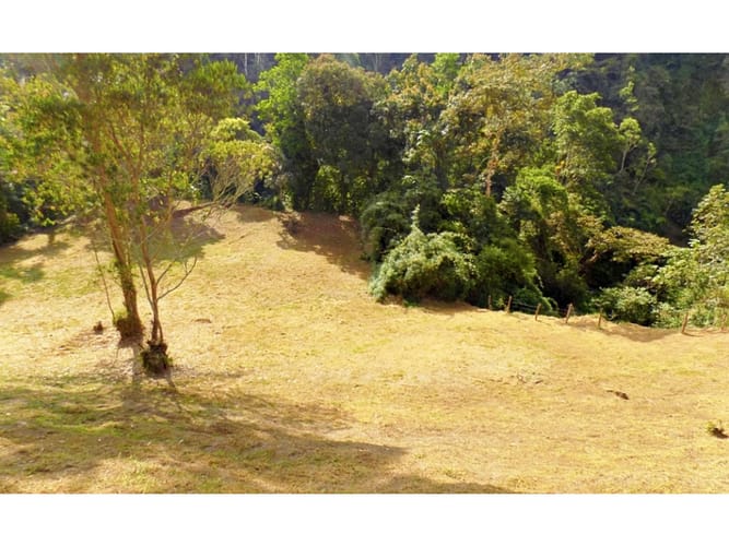 Lote en venta en El Trebol, Manizales, 16200 m² · foto 3 de 4