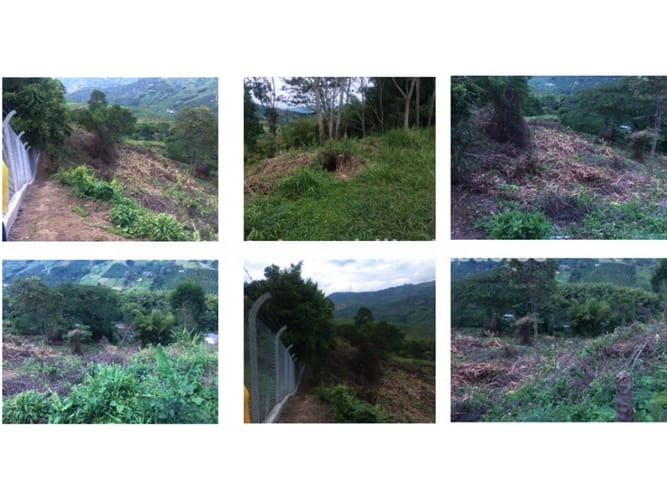 Lote en venta en San Peregrino, Manizales, 8916 m² · foto 2 de 4