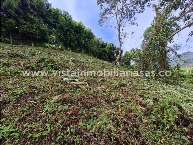 Lote en venta en San Peregrino, Manizales, 8916 m² · foto 3 de 4