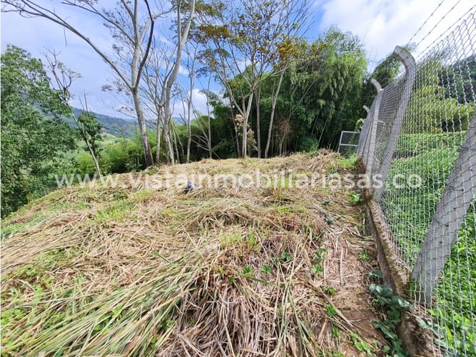 Lote en venta en San Peregrino, Manizales, 8916 m² · foto 4 de 4