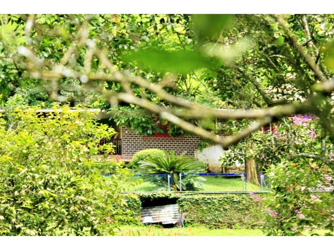 Finca en venta en Sancancio, Manizales, 176 m² · foto 14 de 24